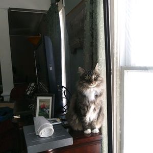 Meet your Posher, Sonja